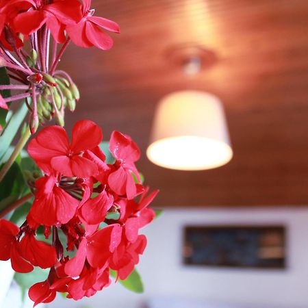 Kehagias Apartments Vrasná Zewnętrze zdjęcie